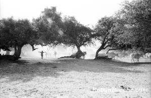 23-Vrindavan-1989_web